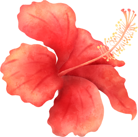 Red Hibiscus Flower Cut-out