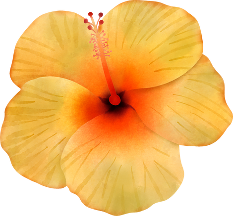 Yellow Hibiscus Flower Cut-out 