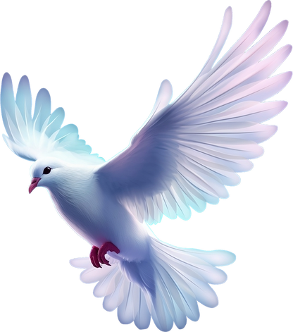 Flying white dove of peace isolated on transparent background