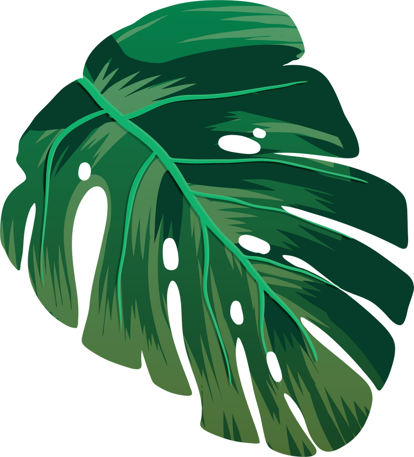 Tropical Leaves