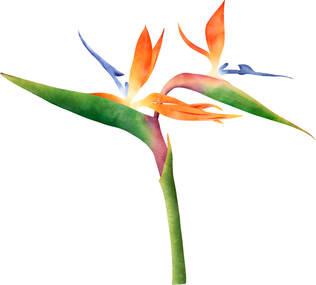 Bird of Paradise Flower Cut-out